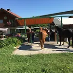 In St. Jakob Im Rosental アパート ザンクト・ヤーコプ・イム・ローゼンタール