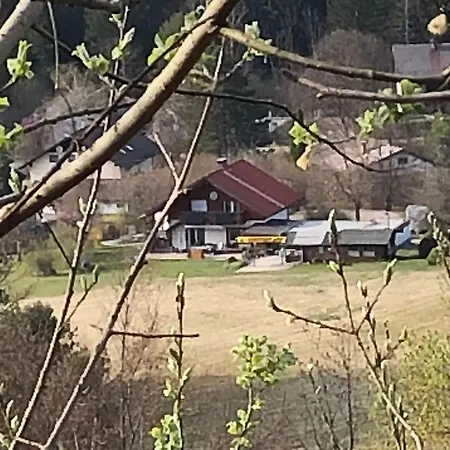 In St. Jakob Im Rosental *