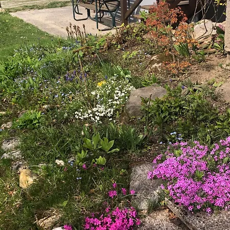 Apartament In St. Jakob Im Rosental