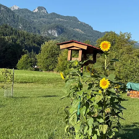 Appartement In St. Jakob Im Rosental *