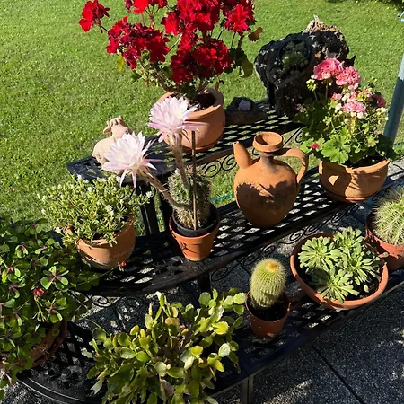 Appartement In St. Jakob Im Rosental Sankt Jakob im Rosental