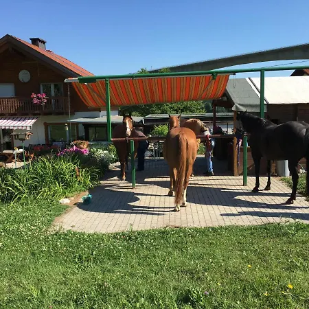 In St. Jakob Im Rosental 아파트 상트제이콥임로센탈