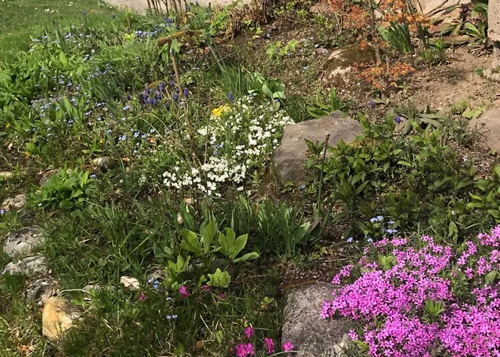 Appartamento In St. Jakob Im Rosental