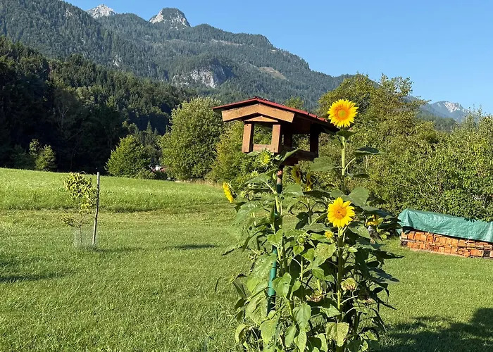 Apartmán In St. Jakob Im Rosental *